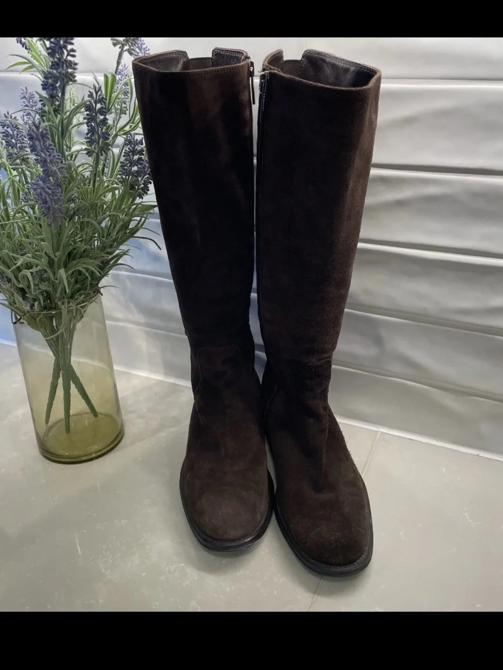 Aquatalia Women's Over-the-Knee Suede Boots in Dark Brown